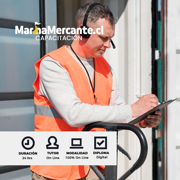 Curso OMI 3.19 Formación para Oficial de Protección del Buque (SSO)