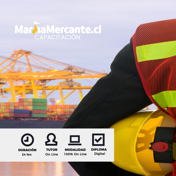 Curso OMI 3.21 Formación para Oficial de Protección de la Instalación Portuaria (PFSO)